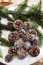 Aspen Pinecones Snow 288320