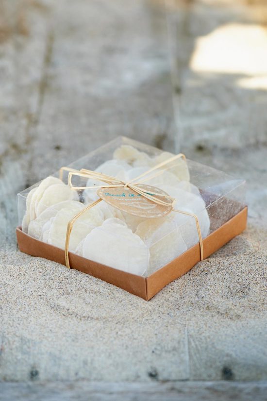 Beach In A Box Transparant Shell 296040