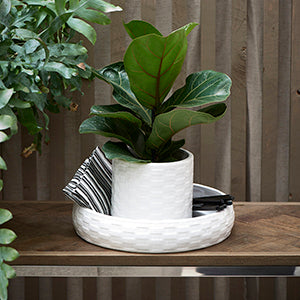 Classic Double Planter 508330
