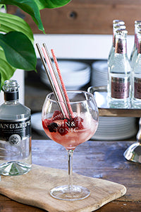 Finest Selection Gin & Tonic 409390