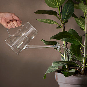 Happy Flower Watering Can 503840