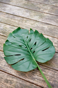 Monstera Leaf L 328780