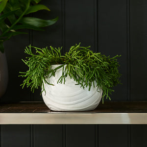 RM Madison Planter 486680