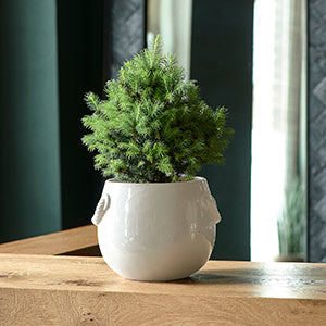 RM Yorkville Planter off-white S 492410