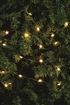 Star Lights On A Wire 200 cm 359570