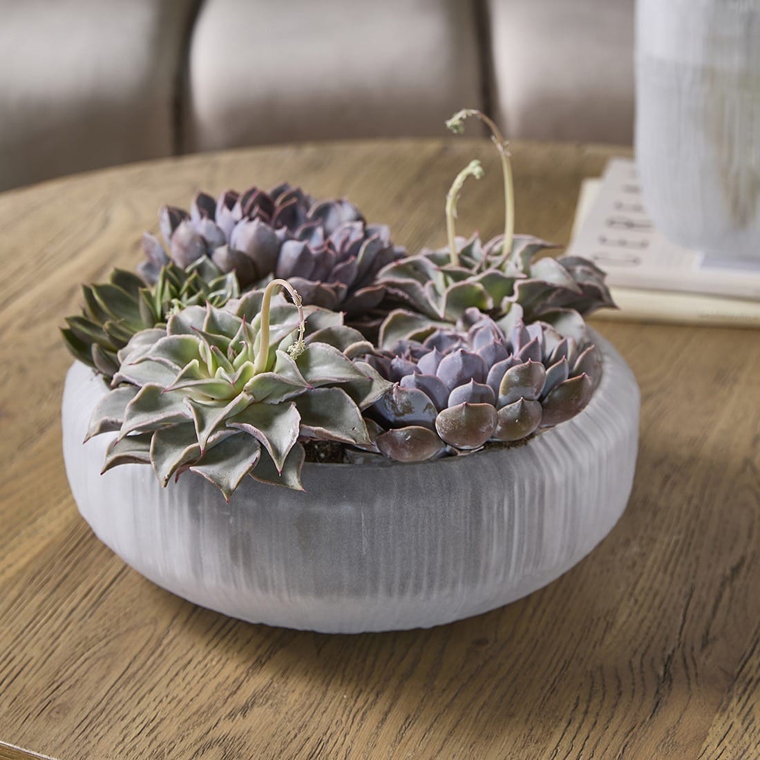 AlteaDecorationBowl593560__1
