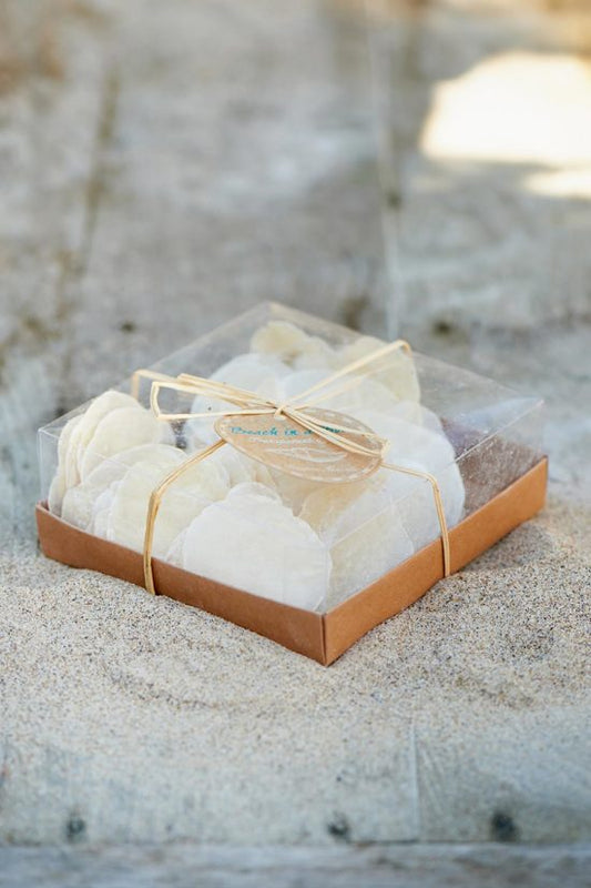 Beach In A Box Transparant Shell 296040