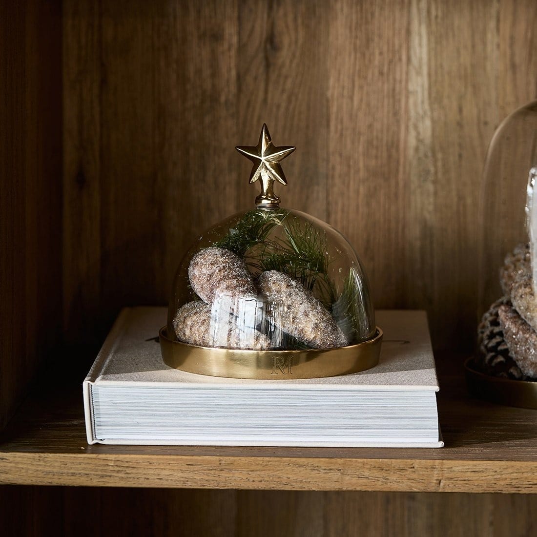 ChristmasStarDomeS582850__1