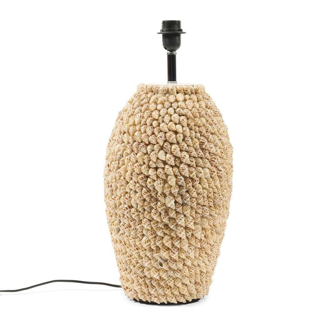 CocoBayShellTableLampweek17594950__1