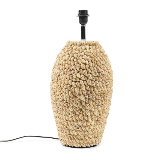CocoBayShellTableLampweek17594950__1