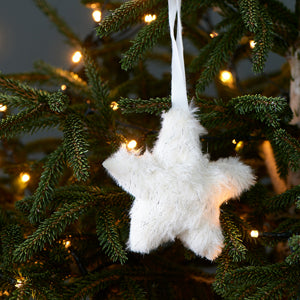 Glittering Star Ornament 491080