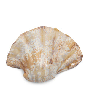 Loulé Shell M 557930