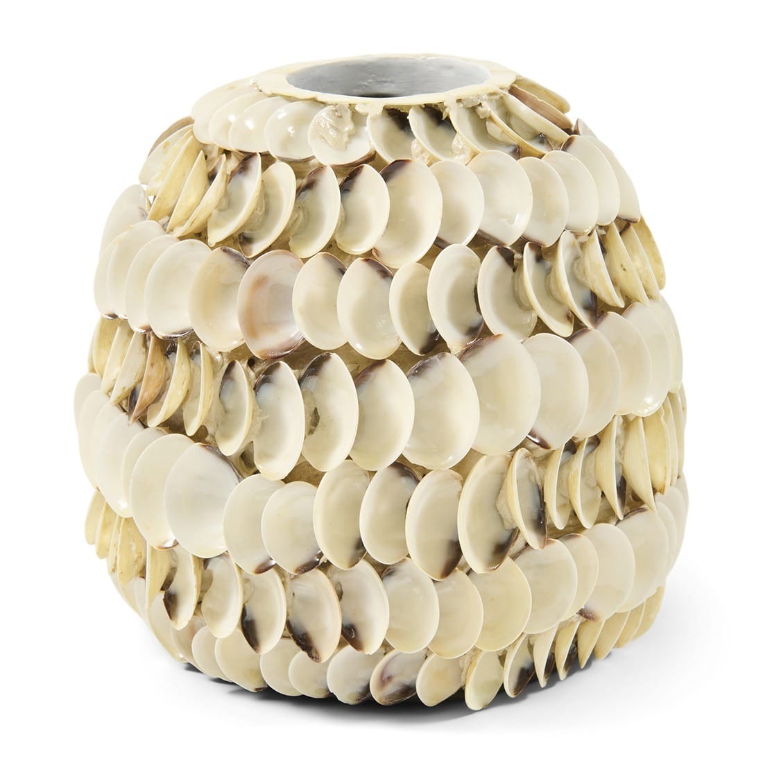 OceanCayShellVaseLowweek17594880__1