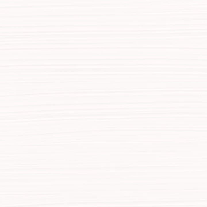 PaintingthePastEggshellPureWhiteNN00__1