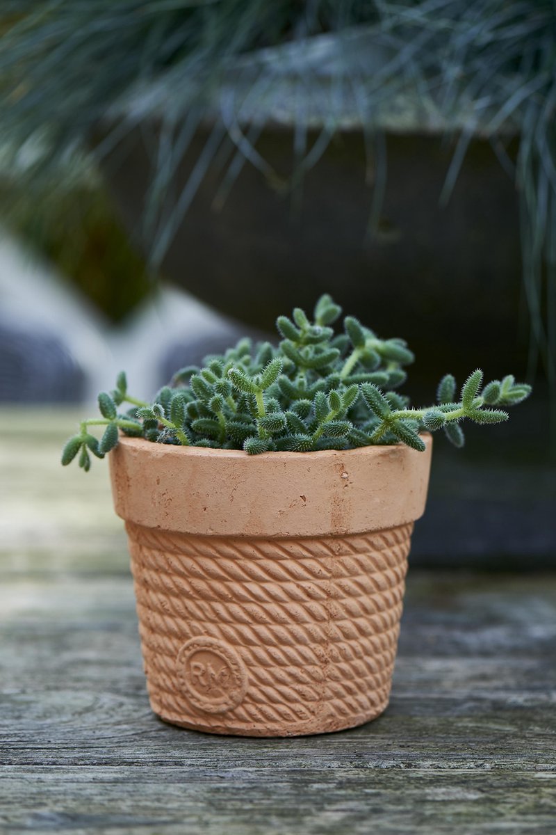 RM Rustic Rope Pot  374910