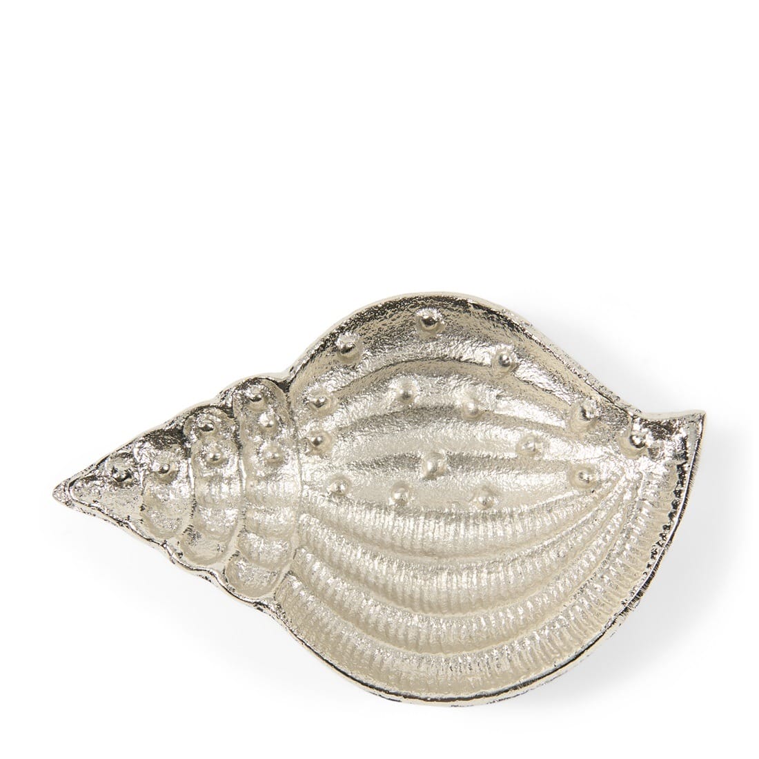 ShellDecorationPlateweek20595070__1