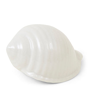 Tropical Beach Decoration Shell 448410